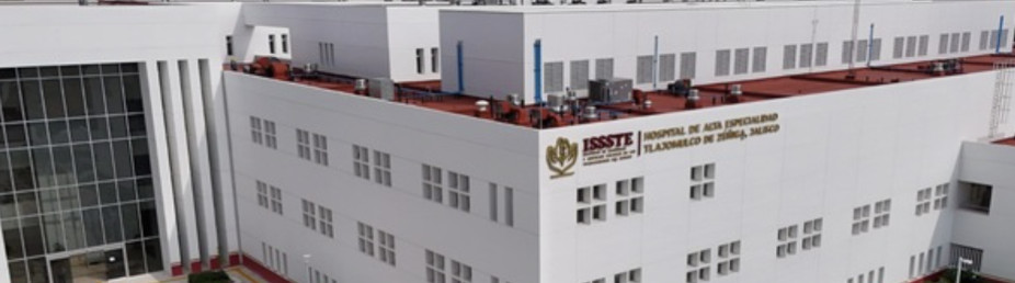 ISSSTE Logo